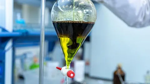В БФУ научились делать бионефть из водорослей и отходов