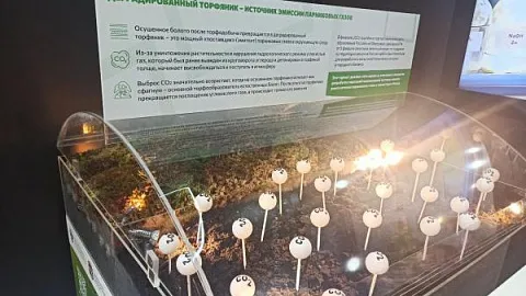 Макет карбонового полигона «Росянка» представлен на Международной выставке «Евразия – наш дом» в Сочи