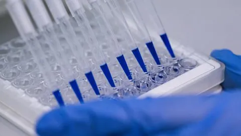Ученые БФУ разрабатывают биогибридные технологии для доставки лекарственных средств