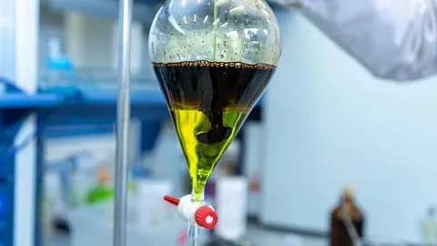 Фоторепортаж: как ученые БФУ получают нефть из балтийских водорослей