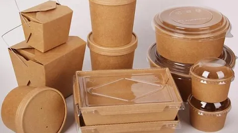 Антимикробную бумагу для пищевой упаковки разрабатывают в Стартап-студии БФУ 