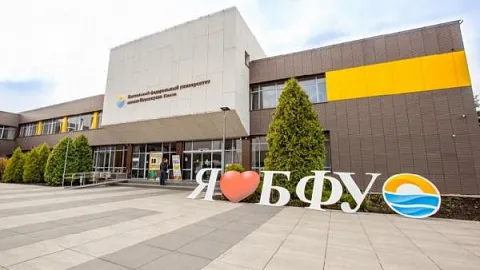 В БФУ открылась Школа руководителей студенческих отрядов Калининградской области